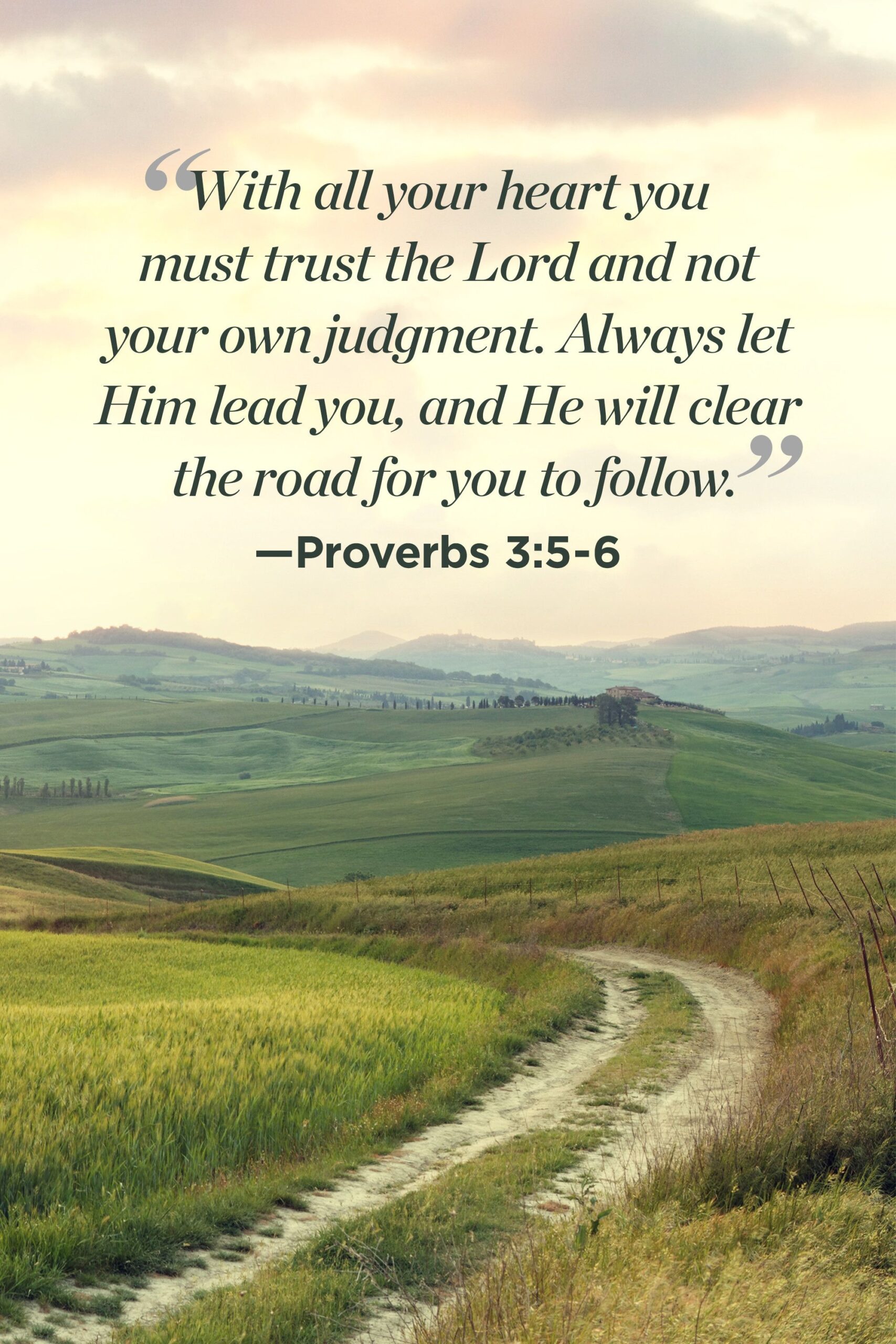 850 Bible Verses Ideas Bible Verses Verses Bible Quotes