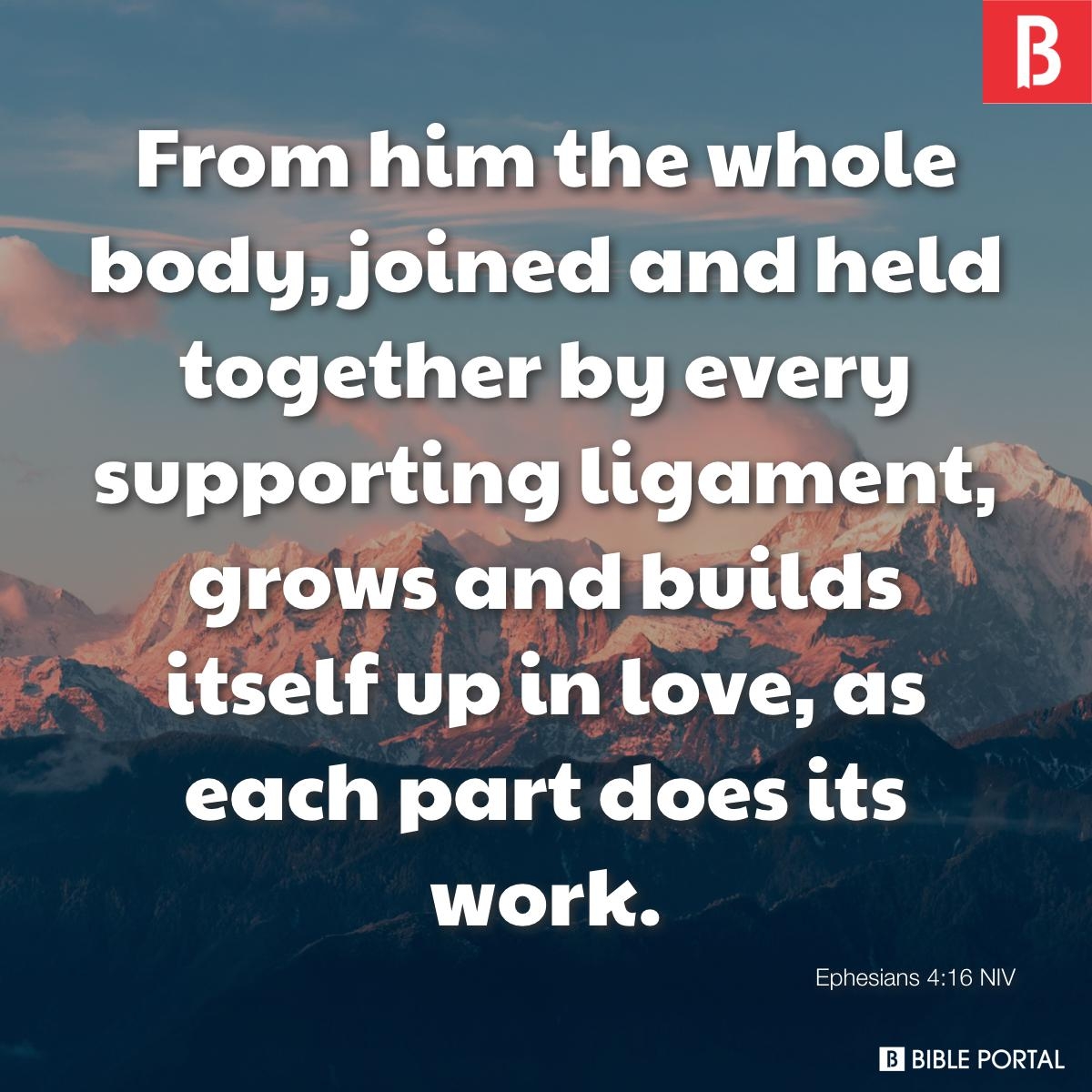 Teamwork Bible Quotes