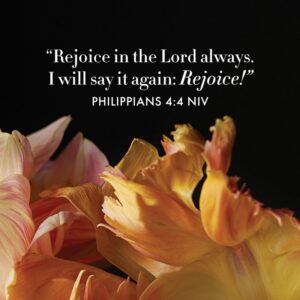 9 Bible Verses About Joy Life Beautiful Magazine