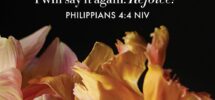 9 Bible Verses About Joy Life Beautiful Magazine