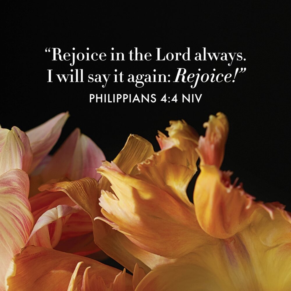 9 Bible Verses About Joy Life Beautiful Magazine