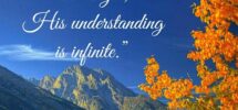 900 Nature Bible Verses Ideas Bible Verses Bible Bible Verses About Nature