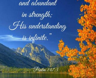 900 Nature Bible Verses Ideas Bible Verses Bible Bible Verses About Nature