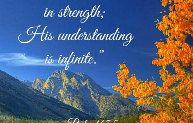 900 Nature Bible Verses Ideas Bible Verses Bible Bible Verses About Nature