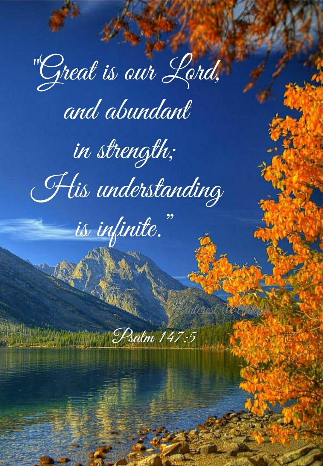 900 Nature Bible Verses Ideas Bible Verses Bible Bible Verses About Nature