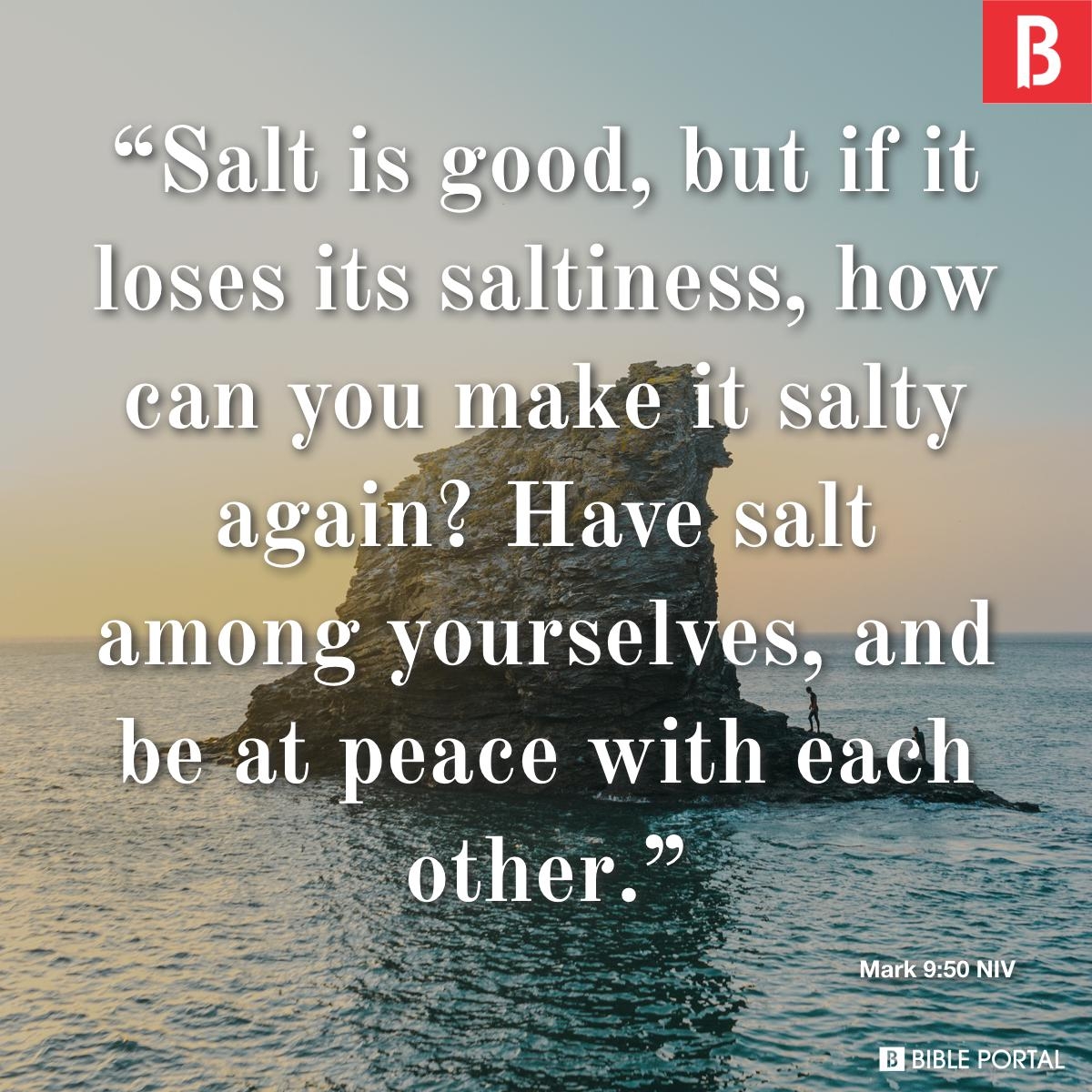 Salt Quotes Bible