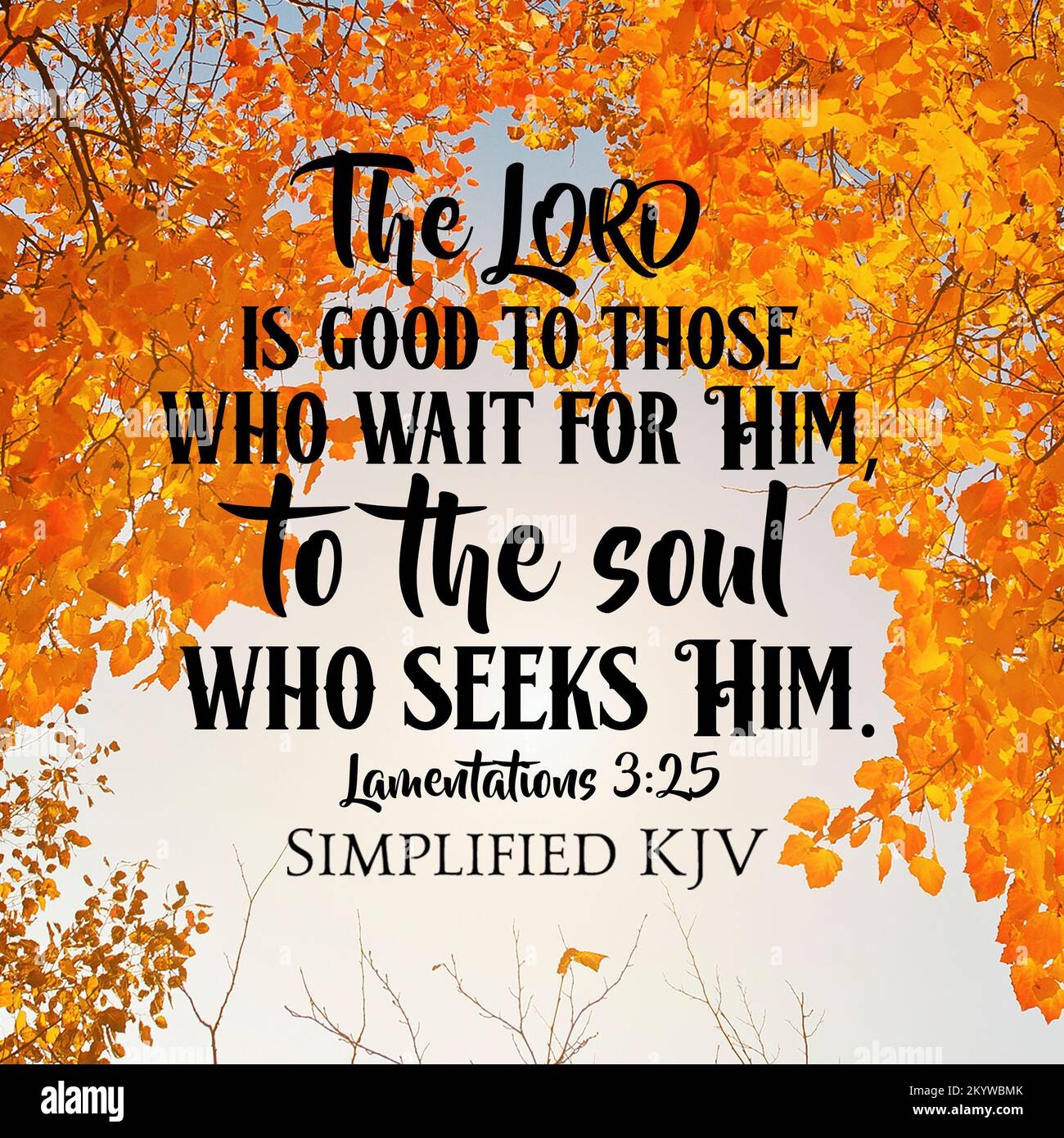 A Christian Bible Verse From Lamentations 3 25 About God s Goodness To Those Who Wait On Him Stock Photo Alamy