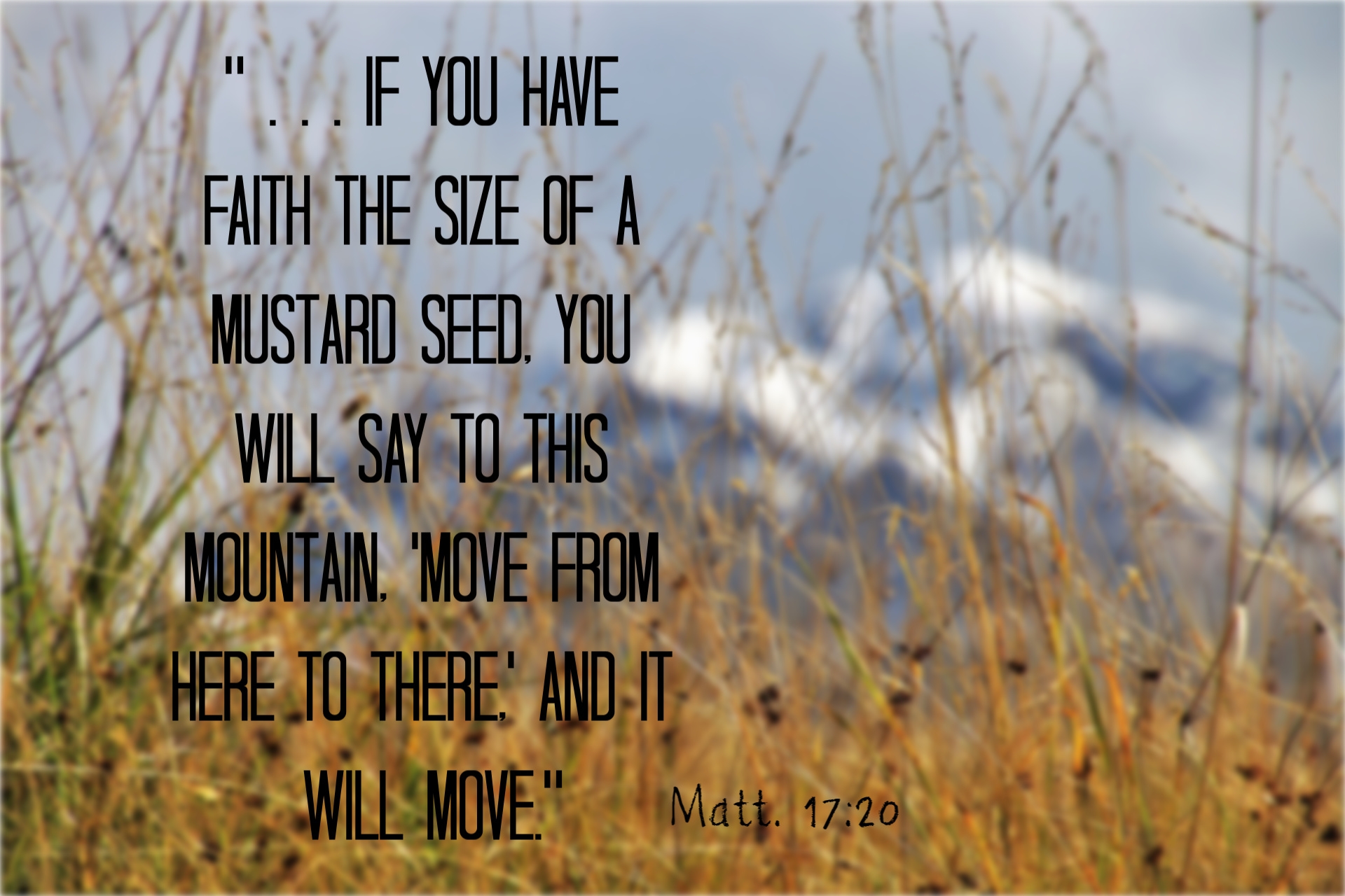 A Mustard Seed Of Faith Equip Her