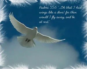 A Psalm For The Betrayed And Abused Psalm 55