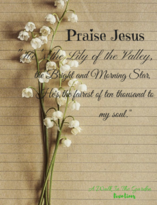A Walk In The Garden Praise Jesus He s The Lily Of The Valley