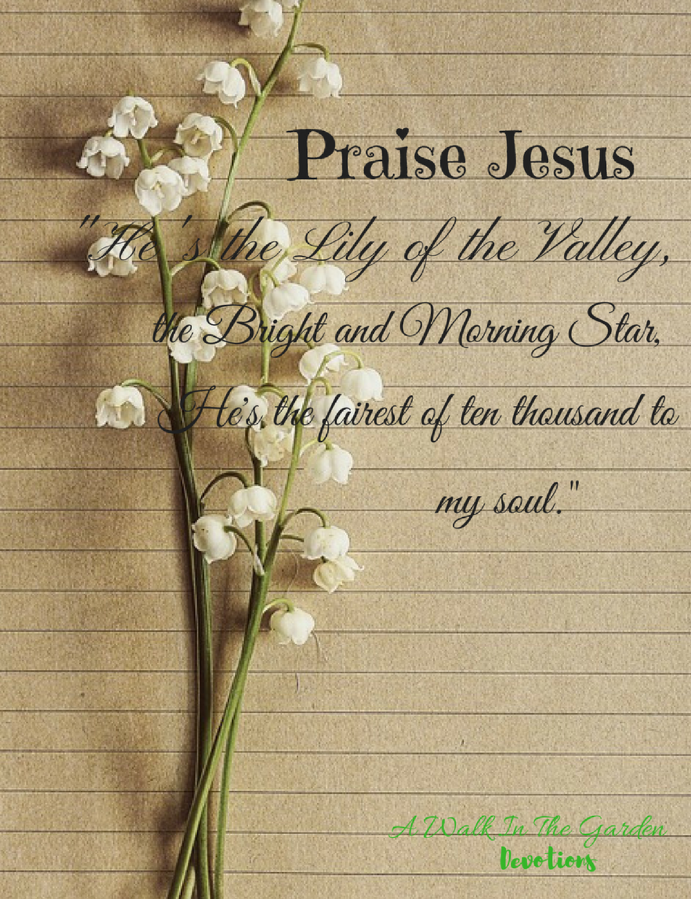 A Walk In The Garden Praise Jesus He s The Lily Of The Valley 