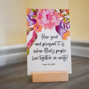 A Year Of Friendship Scripture Cards Buhbay