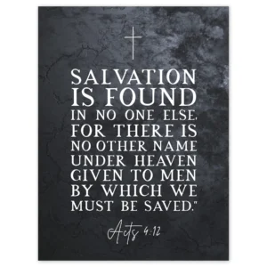 Acts 4 12 Salvation Is Found In No One Else Christian Bible Verse Quote Scripture Typography Large Wall Art Poster Print Thick Paper 18X24 Inch Walmart