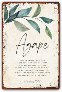 Agape 1 Corinthians 13 4 8 Metal Signs Bible Zambia Ubuy
