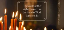 All Souls Day Quote The Souls Of The Righteous Catholic Link