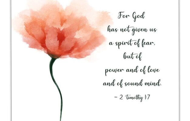 Amazon 2 Timothy 1 7 For God Has Not Given Us A Spirit Simple Orange Flower Bible Verses About Strength Wall Art Decor Unframed 11 X 14 Watercolor Print Christian Inspirational Gifts
