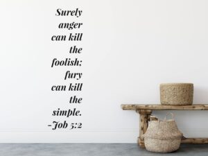 Amazon Adamant Decals Vinyl Wall Decal Surely Anger Can Kill The Foolish Fury Can Kill The Simple Job 5 2 Inspirational Religious Bible Quote For Christian God Scripture Home Tools Home