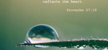 Amazon Bible Verse Proverbs 27 19 Water Droplet Poster Original Art Print Photo Wall Home Decor Liquid Christianity Religion Quote Size 15 X 10 Inches Home Kitchen