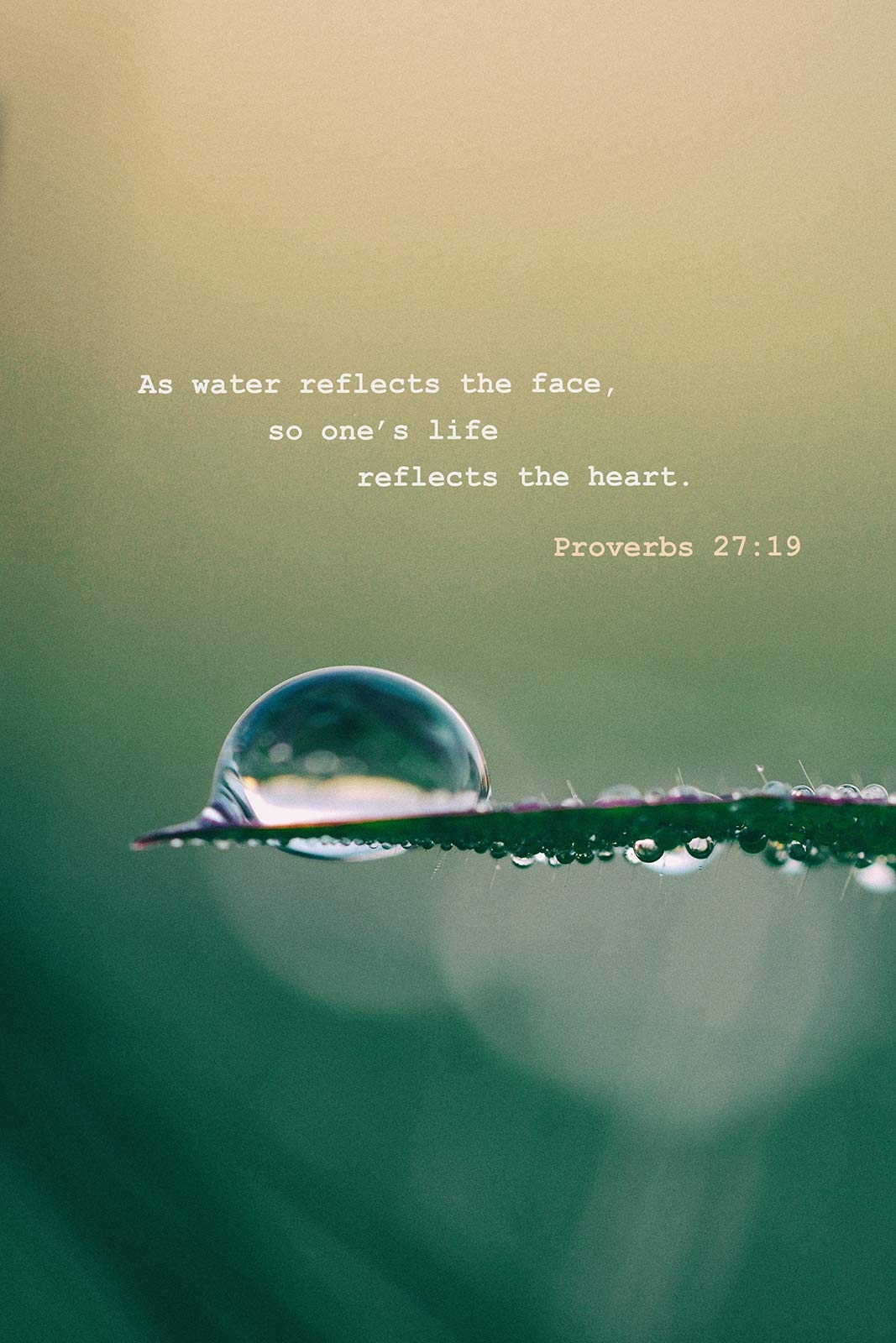 Bible Quotes About Water