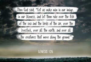 Amazon Bible Verse Wall Art Genesis 1 26 Let Us Make Man In Our Image 13x19 Unframed Poster Christian Poster Framed Picture Wall Decor Print Spiritual Inspirational Verses And Quotes
