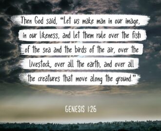 Amazon Bible Verse Wall Art Genesis 1 26 Let Us Make Man In Our Image 13x19 Unframed Poster Christian Poster Framed Picture Wall Decor Print Spiritual Inspirational Verses And Quotes
