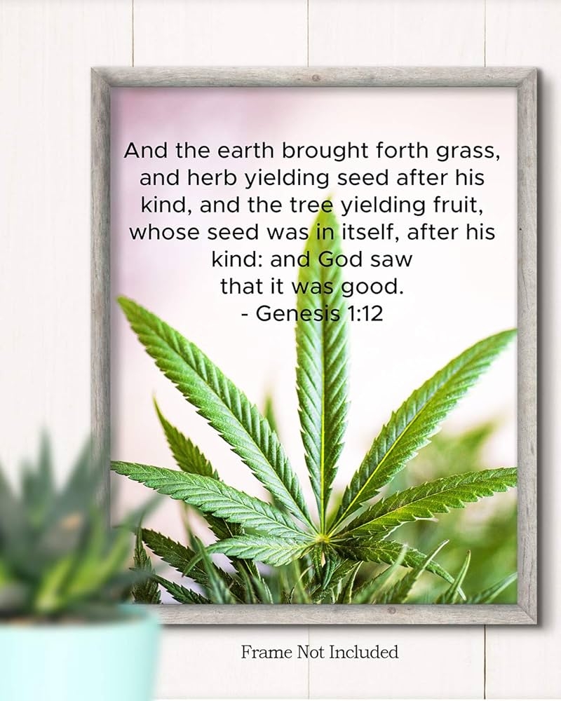 Amazon Genesis 1 12 Medical Marijuana Wall Decor Cannabis Gifts Cannabis Decor Herb Yielding Seed Weed Plan Poster Print Canvas 8 X 10 Posters Prints