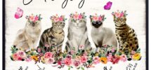 Amazon God Says You Are Cat Wall Art Christian Inspirational Encouragement Gifts For Women Bible Verses Psalms Scripture Wall Decor Catholic Religious Gifts Positive Motivational Quotes Boho Decor