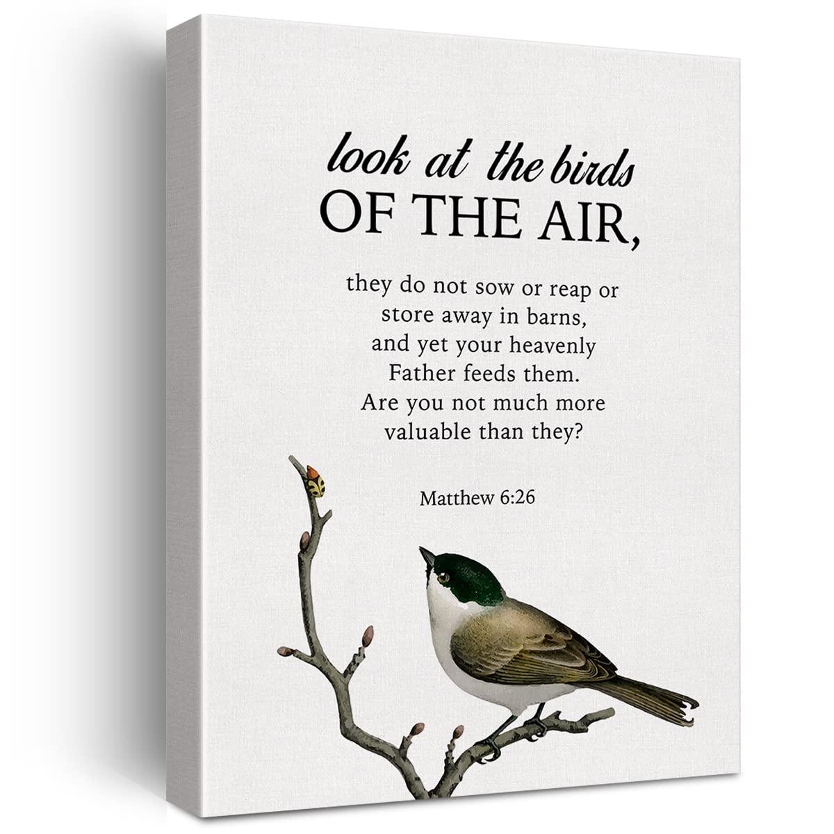Amazon LEXSIVO Bible Verse Matthew 6 26 Print Canvas Wall Art Home Office Decor Look At The Bird Of Thr Air Painting 12x15 Canvas Poster Framed Ready To Hang Christian Gift Posters 
