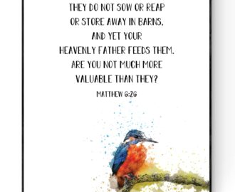 Amazon Look At The Birds Of The Air Matthew 6 26 Christian Quote Sign Faith Print Religious Sign Wall Decor Wall Artwork Art Print 16x20 Posters Prints