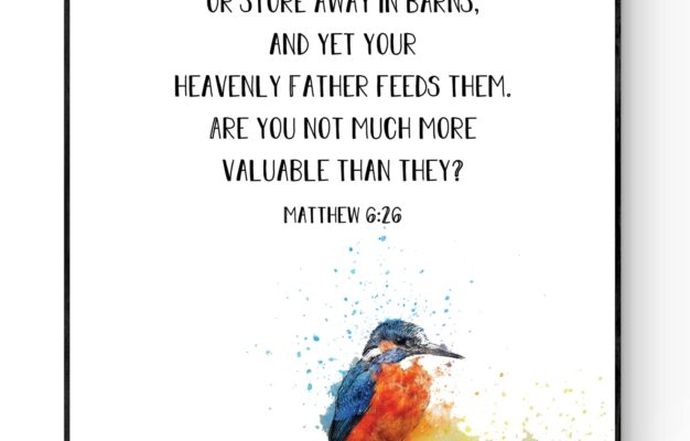 Amazon Look At The Birds Of The Air Matthew 6 26 Christian Quote Sign Faith Print Religious Sign Wall Decor Wall Artwork Art Print 16x20 Posters Prints