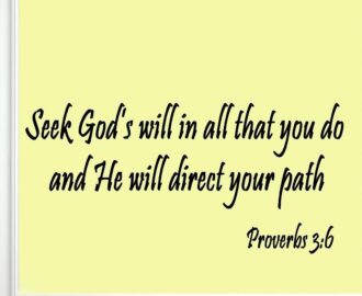 Amazon Seek God s Will In All That You Do Provers 3 6 Bible Verse Wall Quote Scripture Christian Vinyl Wall Art Quote Sports Outdoors