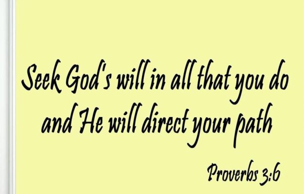 Amazon Seek God s Will In All That You Do Provers 3 6 Bible Verse Wall Quote Scripture Christian Vinyl Wall Art Quote Sports Outdoors