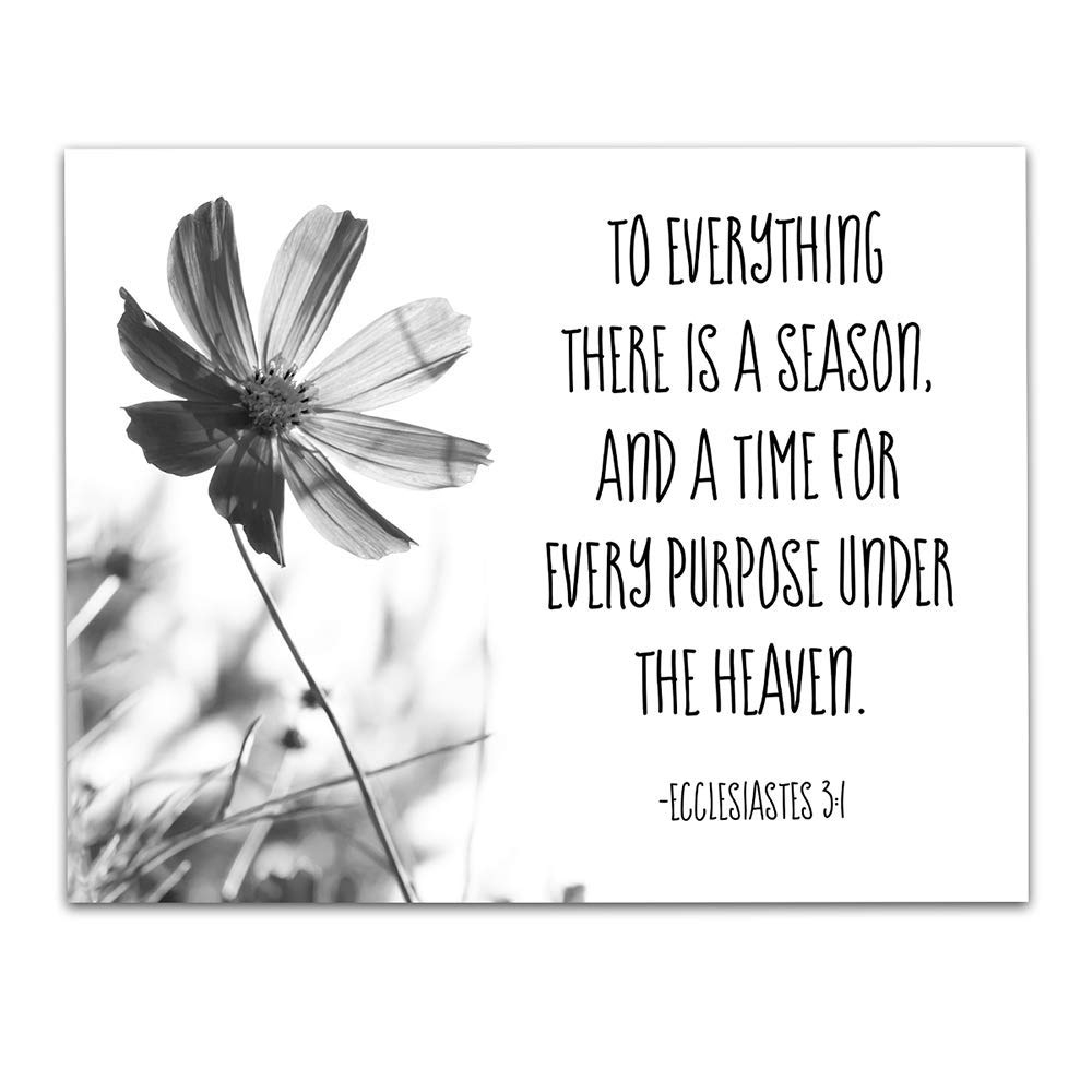 Amazon TJ Originals Book Of Ecclesiastes Quote Wall Art Christian Art Print Christian Gifts For Women Religious Verses Desk Decor Bible Verses Office Wall Decor Catholic Art Wall Decor 11x14 In Posters