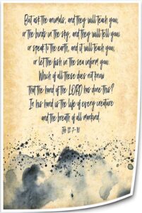 Amazon Triyend Job 12 7 10 Bible Verse Wall Decor Prints Bible Quote Posters Art Room Canvas Bathroom Printed Canvas Decorations For Bedroom 20 00 x30 00 Unframed Posters Prints