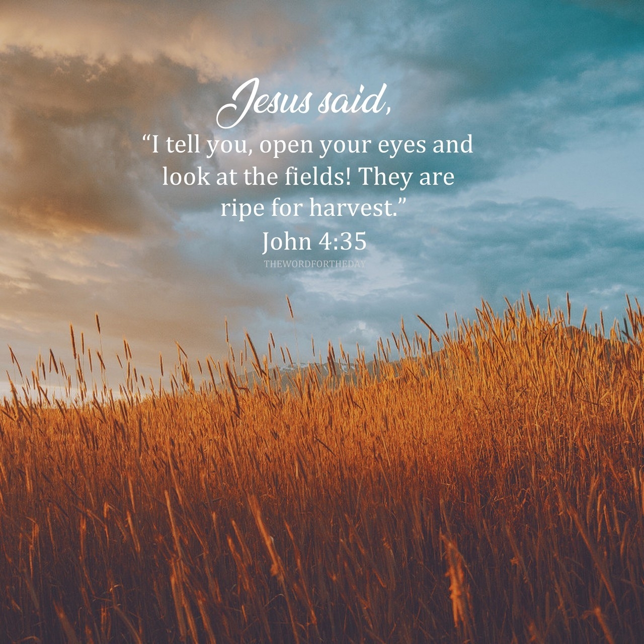 At Harvest Time A Farmer s Entire Focus Is On Getting The Crop In From The Fields Ripe Produce Will Spoil If Left In The thewordfortheday On Tumblr