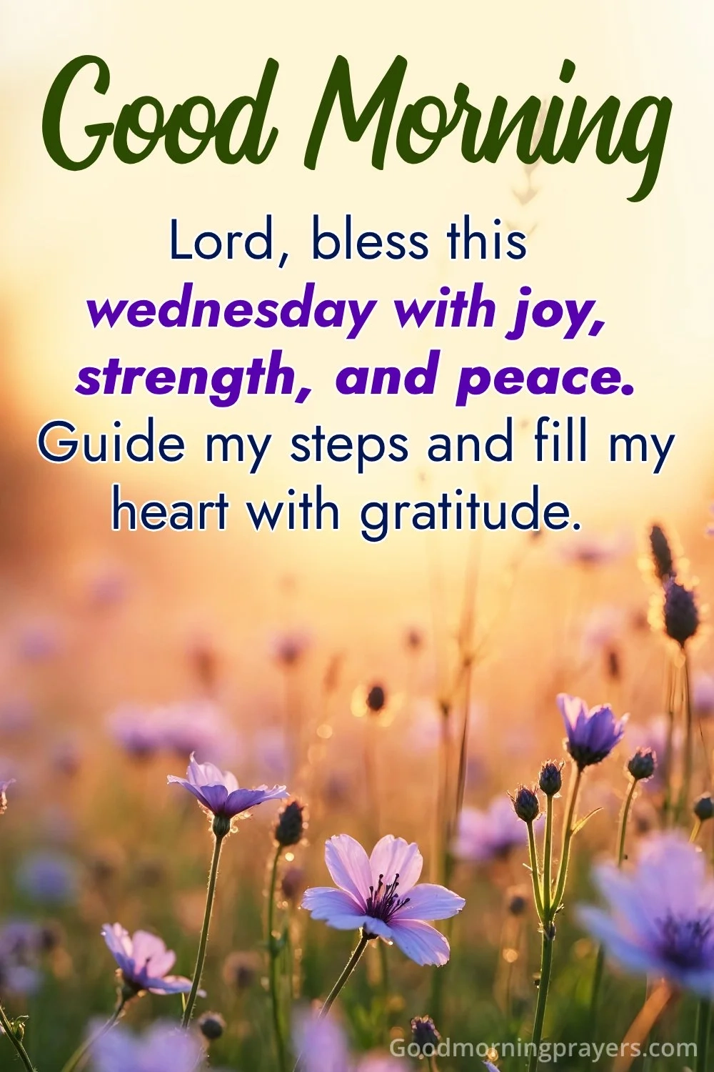 Good Morning Bible Quotes