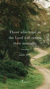 Beautiful Scenic Bible Verse Wallpapers For Your Phone