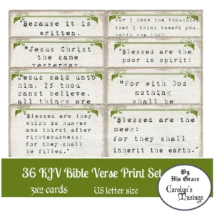 Bible Cards Agape Scripture Memory Cards 100 NIV Bible Verse Flashcards For Adults Kids 100 Memory Bible Verses Flash Cards niv Kjv Large Print