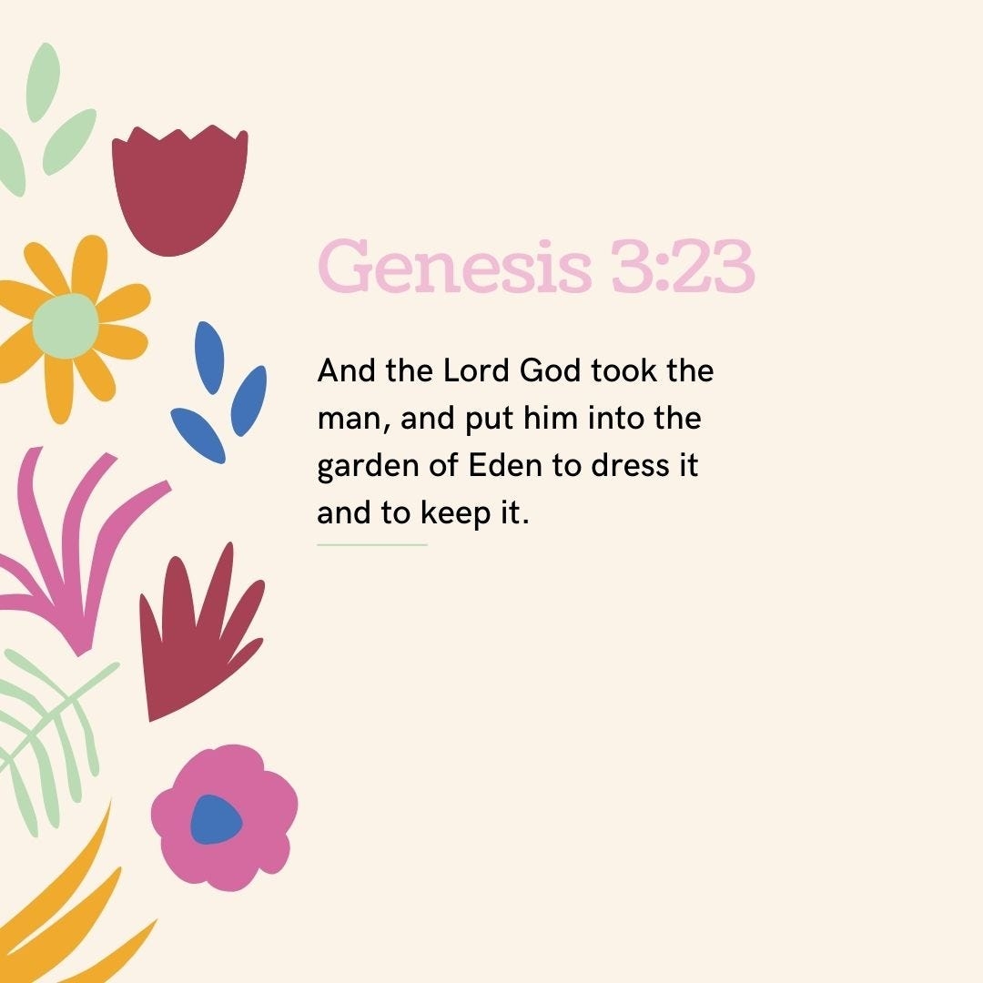 Bible Gardens God s Word In Nature By DL