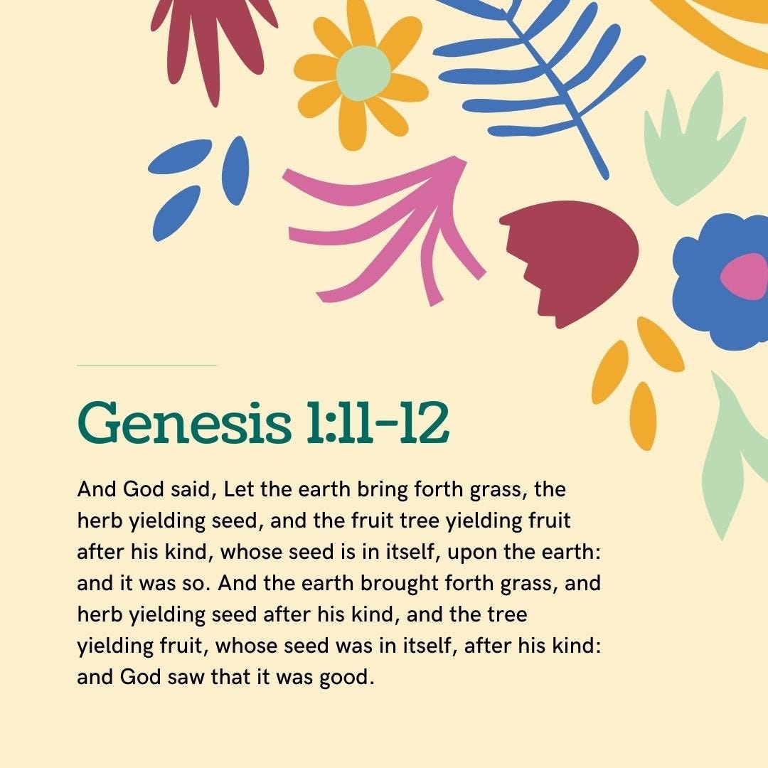 Bible Gardens God s Word In Nature By DL
