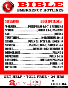 Bible Hotline Bible IQ