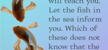 Bible Job 12 8 9 Prayables