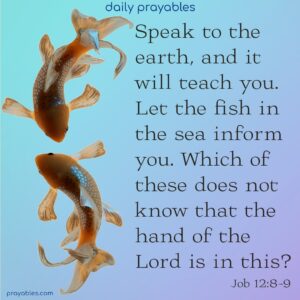 Bible Job 12 8 9 Prayables