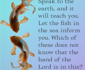 Bible Job 12 8 9 Prayables