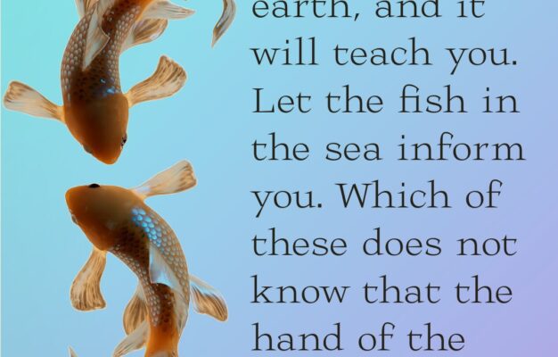 Bible Job 12 8 9 Prayables