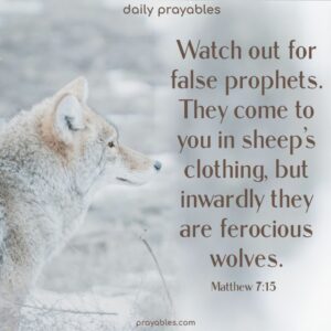 Bible Matthew 7 15 Prayables