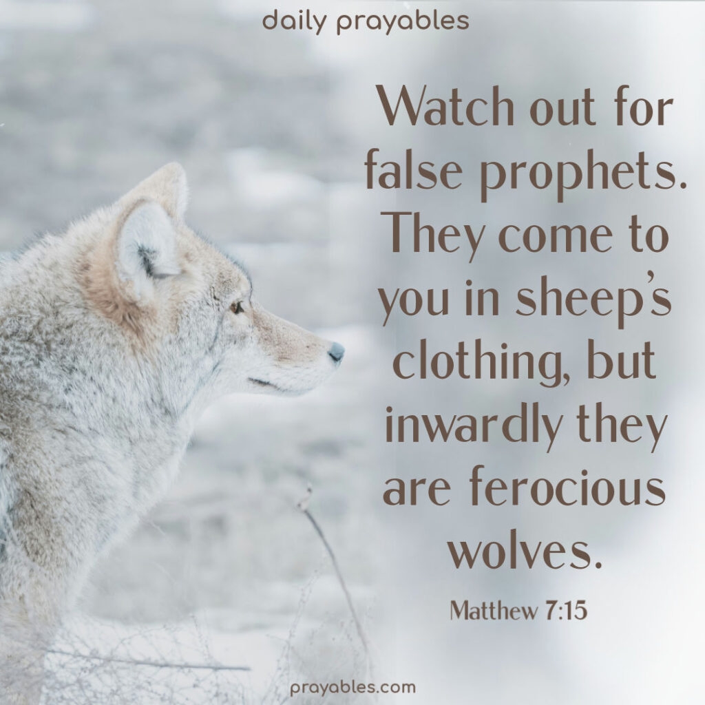Bible Matthew 7 15 Prayables