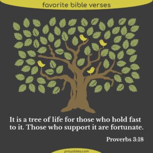 Bible Proverbs 3 18 Prayables