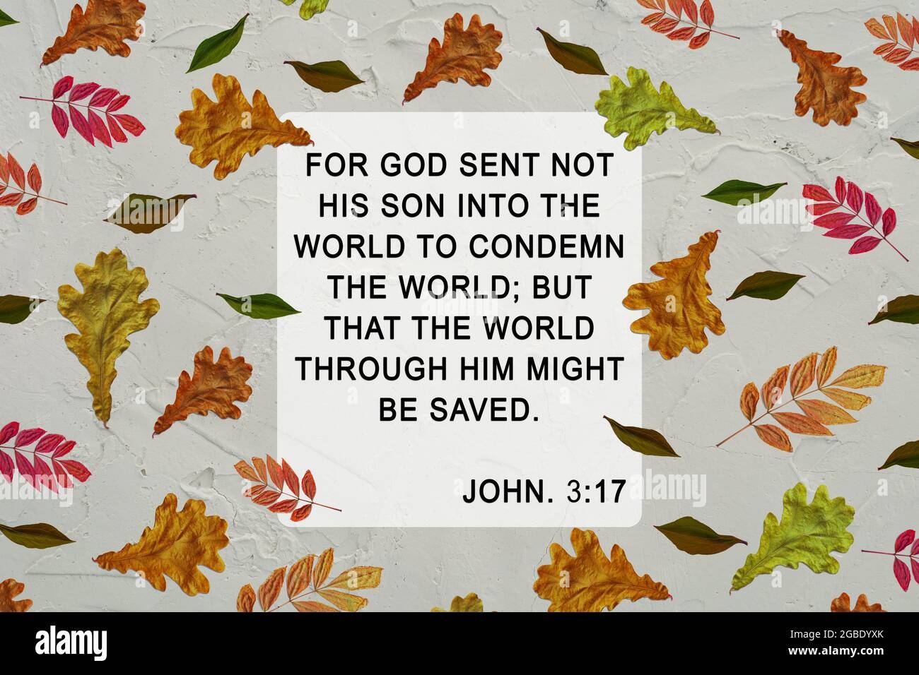 Bible Quotes About Autumn