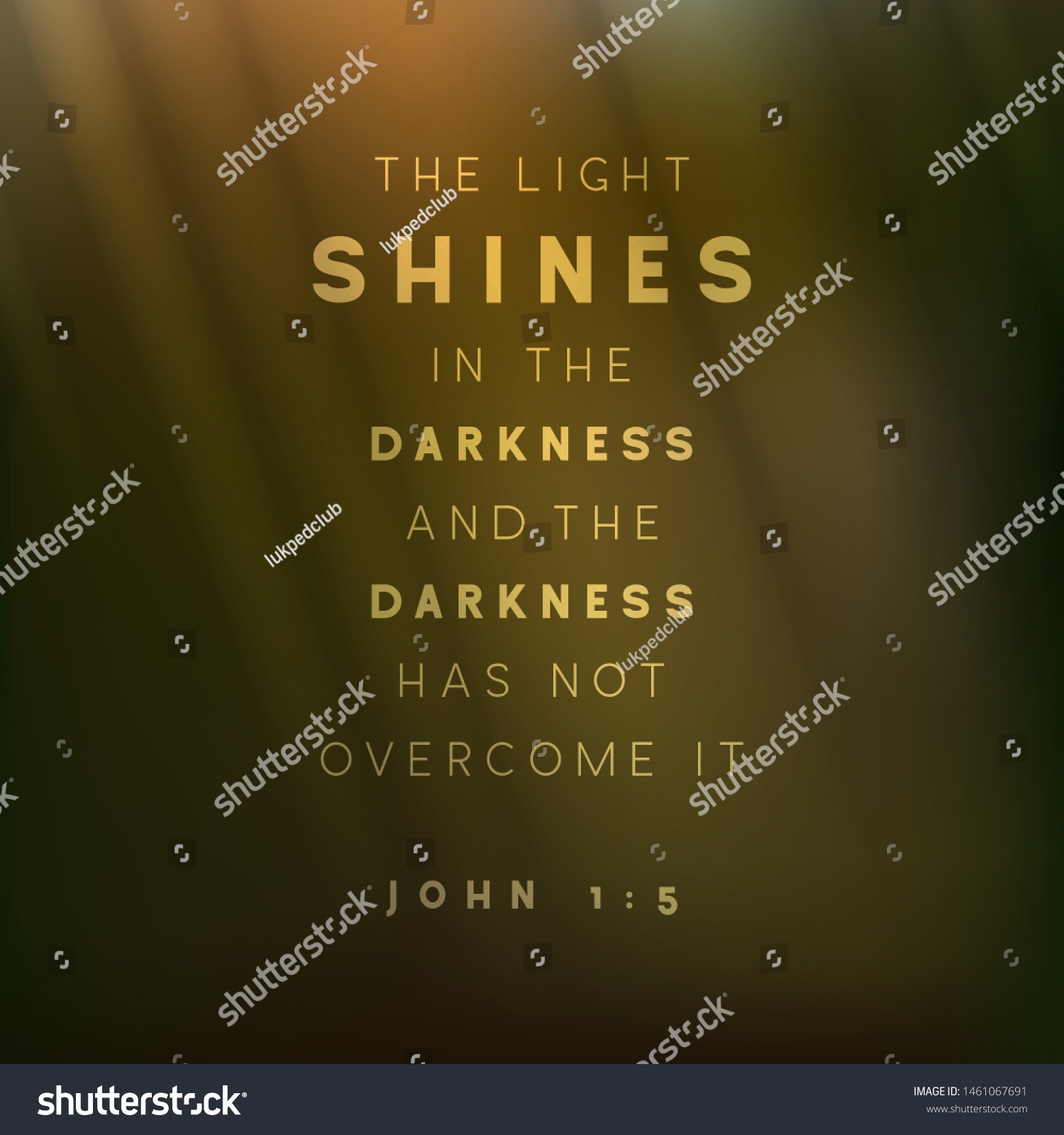 Bible Quote Light Shines Darkness Darkness Stock Vector Royalty Free 1461067691 Shutterstock